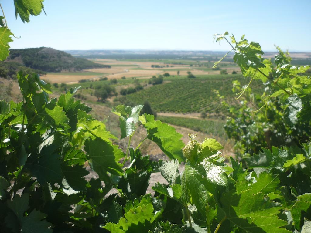 La Cantamora Hotel Rural Pesquera De Duero Exteriör bild